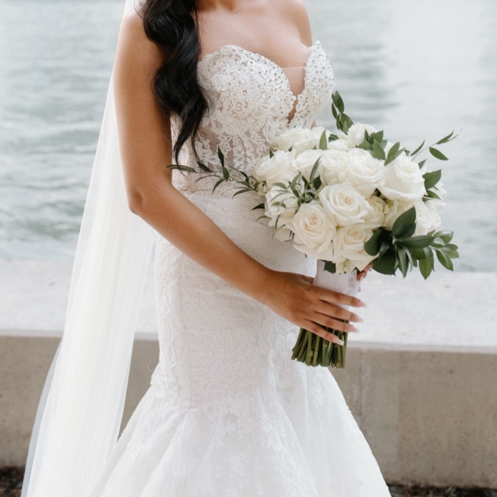 Pronovias Imelda Wedding Gown - Picture 10 of 16